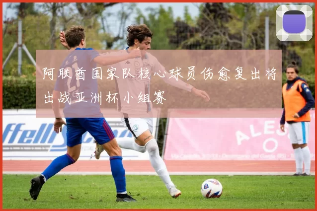 阿联酋国家队核心球员伤愈复出将出战亚洲杯小组赛